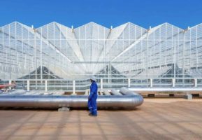 Turnbull invests in revived solar steam tech with gigawatt scale project in Saudi Arabia