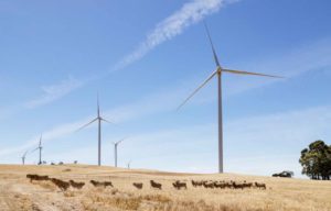 New Australian developer unveils plan for what would be biggest wind farm in NSW