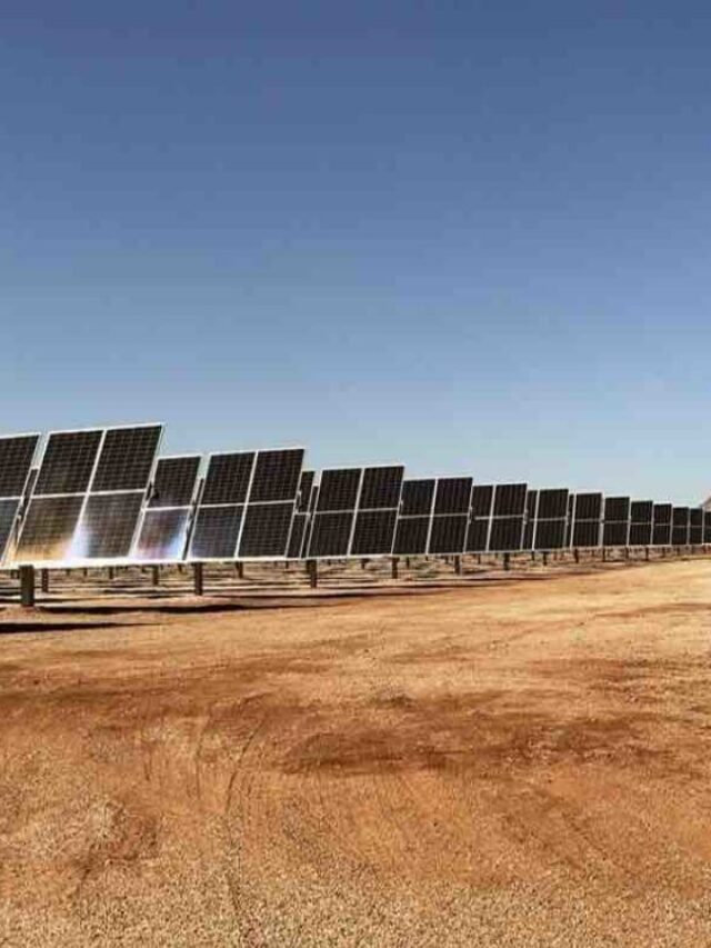 CSIRO says Australia must secure share of global minerals market for wind, solar and EVs