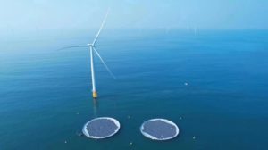 Offshore floating solar plant linked with offshore wind in world first