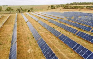 South Australia to host another large scale solar farm to power glass manufacturer