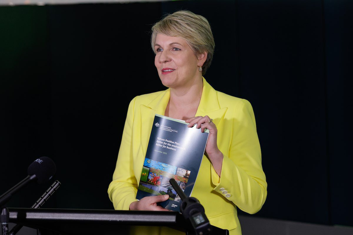 tanya plibersek nature plan