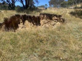 Snowy CEO confirms project delays as he works to “unpause” blocked tunnel borer