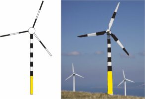 Could zebra stripes steer birds clear of offshore wind turbines?