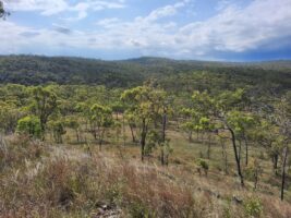 Apple pulls out of off take deal for Andrew Forrest wind project in Queensland