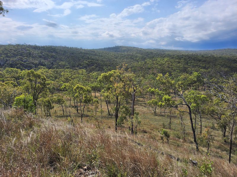 Apple pulls out of off take deal for Andrew Forrest wind project in Queensland - Vimarsana News