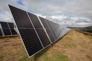 Australia’s biggest solar farm powers up to help replace New South Wales coal