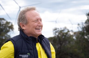 Andrew Forrest turbines squadron