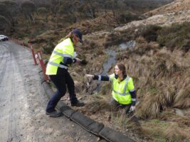 Snowy 2.0 contractor and owner fined for river pollution in national park