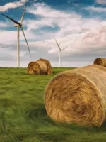 Climate action for economic growth