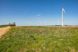 RWE’s gigawatt scale wind project in Queensland awaits EPBC decision