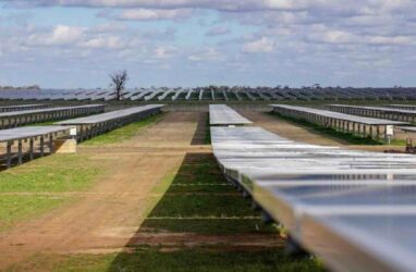 Limondale solar farm rye