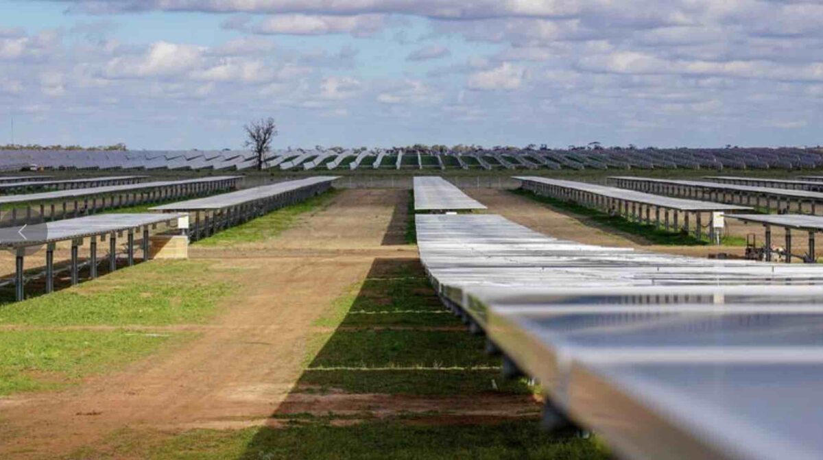 Limondale solar farm rye