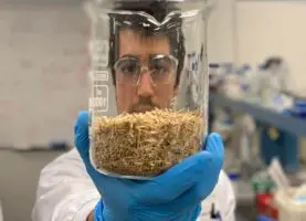 Renewable hydrogen tech that turns biomass into green molecules wins CEFC backing