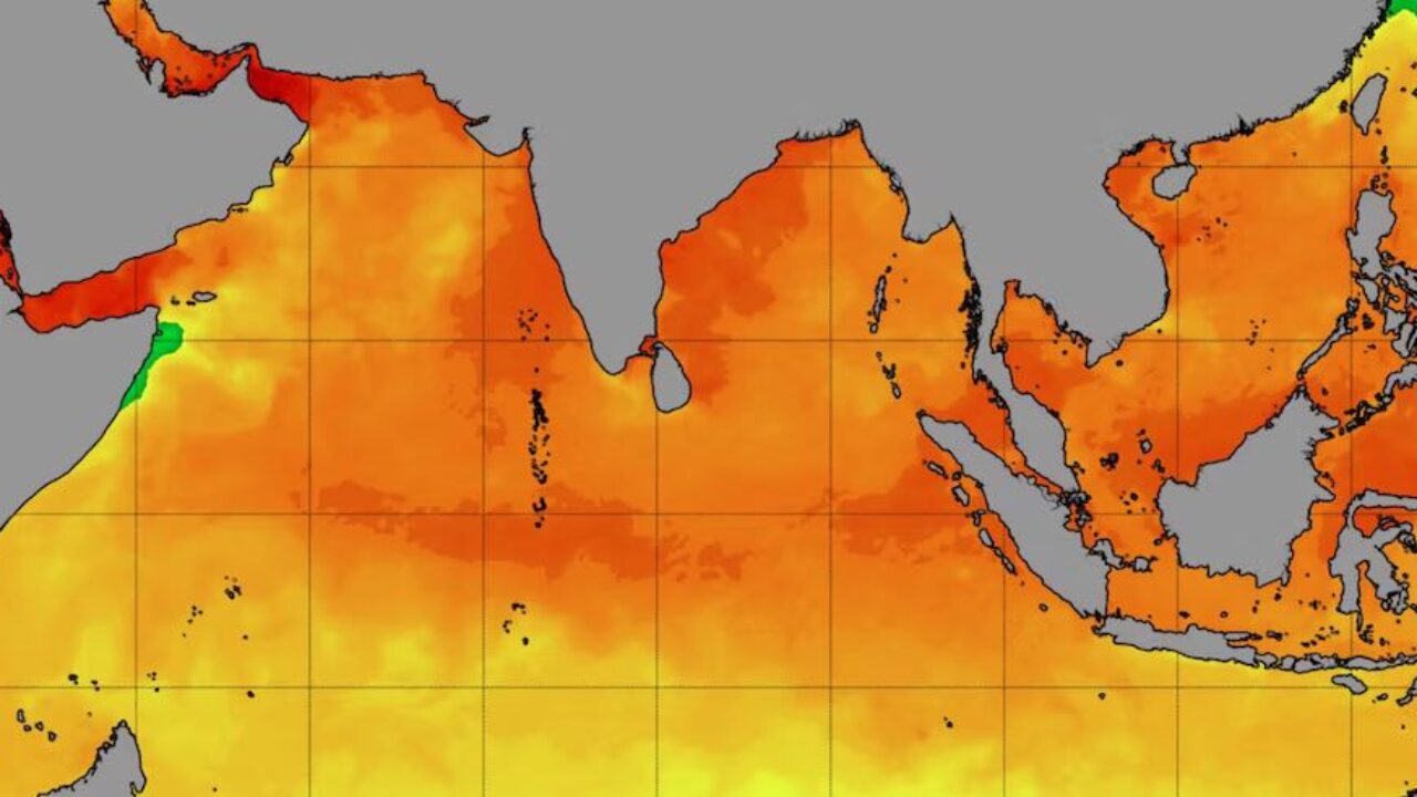 NOAA forecast indicates increase in global marine heatwaves through May 2024  - The Watchers