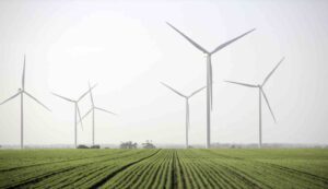 Naturgy opens new Victoria wind farm as part of major renewables and storage push