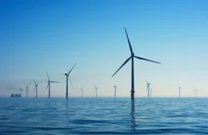 Bowen blindsided by Bluefloat as offshore wind debate gets really weird