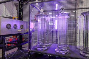 Australian start-up targets fertiliser and hydrogen markets with plasma-to-ammonia tech