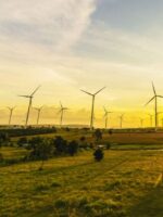 Are renewables really cheaper? (Spoiler: Yes)