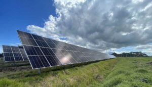 New Zealand’s first utility-scale solar farm begins generating power