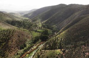 “A true first:” Neoen in landmark deal to create national park next to Goyder renewable zone