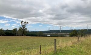 Contentious Delburn wind project pilots AI bushfire detection technology