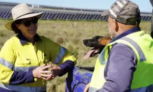 Farmers plead for happier marriage with wind and solar project developers