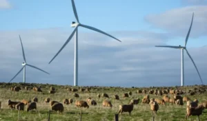 AEMO says wind farm responded “as designed” in Victoria storms as conservatives pile into renewables
