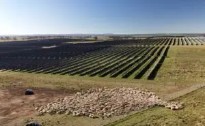 NSW Farmers ink solar deal to provide members with “reliable affordable” energy