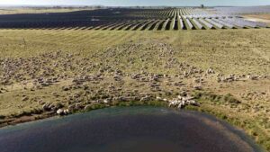 Australia’s biggest solar farm inks “significant” power purchase deal