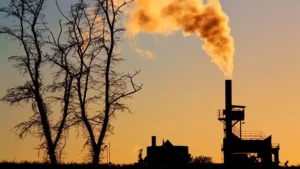 Hard to abate: Businesses risk their future by skimping on emission cuts