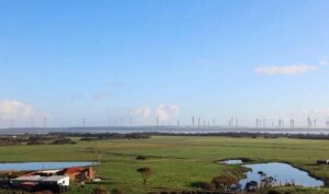 “Massive boost” or biodiversity disaster? Tension mounts over fate of Robbins Island wind farm