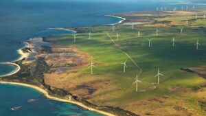 Tasmania wind farm ditches bird radar for new technology to avoid eagle collisions