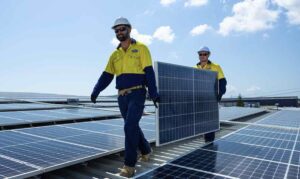 Rooftop solar ducks would eat nuclear’s lunch. So will Coalition slow PV or pay to store it?