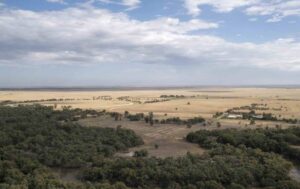 Massive 1500 MW wind project gets planning approval, first in NSW in nearly three years