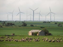 Wind turbines have negligible impact on house prices, new study finds