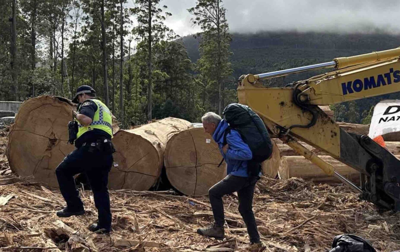 Bob Brown Arrested At Protest Defending Tasmania's Giant Trees, Banned ...