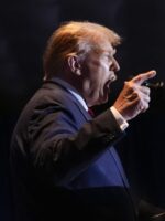 Trump tariffs killing big battery investment in US