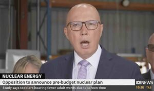 Peter Dutton wonders when batteries will be “discovered”, and if wind turbines are sentient