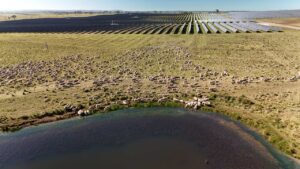 Australia’s biggest solar farm has a highly profitable first quarter after construction delays