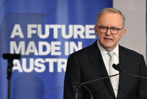 Albanese says government to  bankroll green manufacturing, flags tighter foreign investment rules