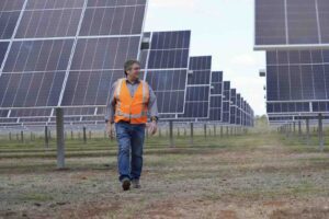 Australian wine company switches on industry’s largest solar farm