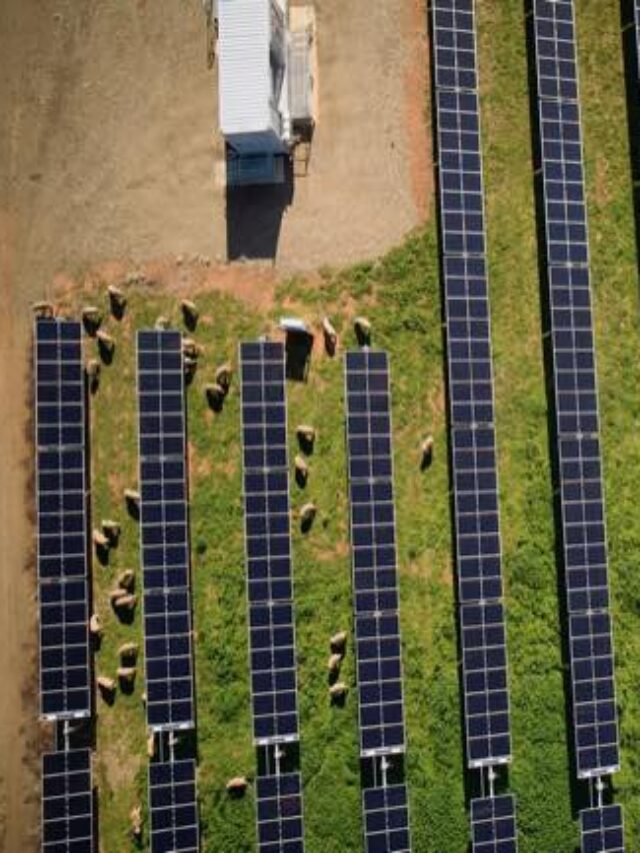 Australia falls out of global top 10 solar countries