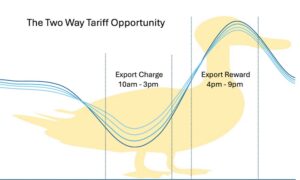 Symmetry and simplicity lost as networks impose “sun tax” on solar exports