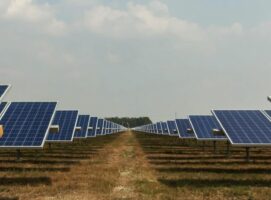 Large scale solar PV projects at lowest level for seven years. Will contractors stay the course?