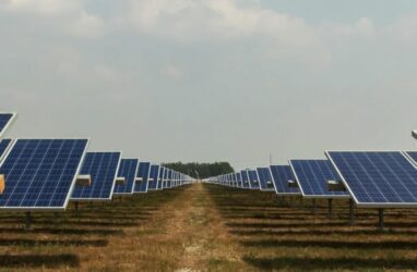 Wellington North solar farm. Lightsource bp.