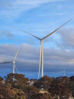 Renewables investment plunges