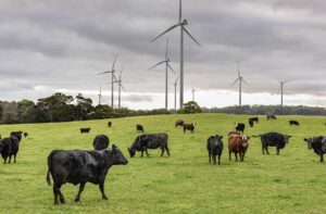 Combined output of wind and solar hits record high on main grid