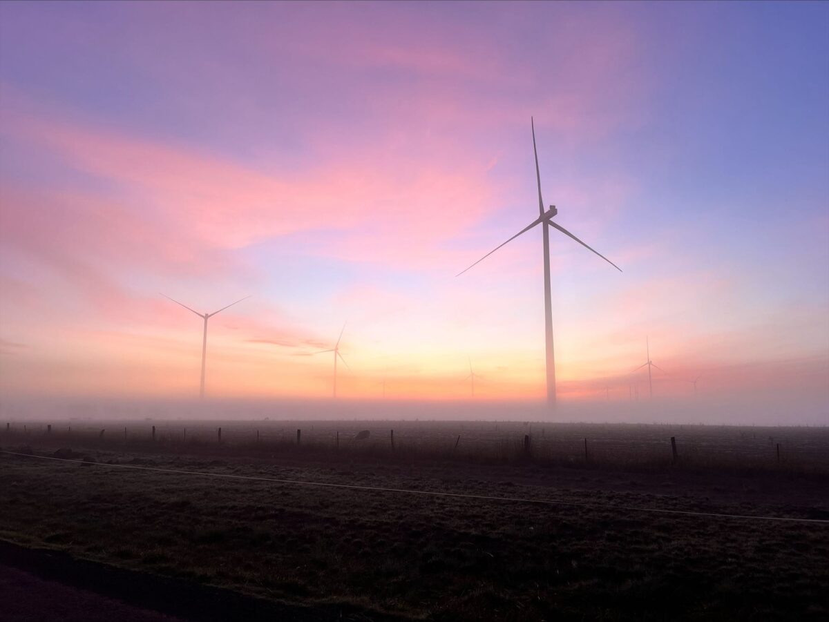 golden plains wind farm tagenergy