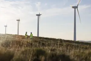 Gigawatt-scale Victoria wind farm, big battery joins queue for federal green tick